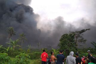 Polisi Belum Terima Laporan Korban Jiwa dari Kebakaran Pabrik Kertas di Malang - JPNN.com Jatim