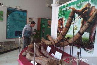 Temuan Fosil Purba di Situs Patiayam Kudus Makin Banyak, Museumnya Tak Layak - JPNN.com Jateng