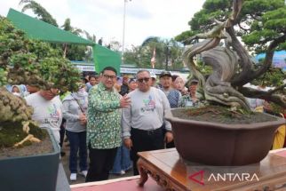 Marwan Hamami Optimistis Bonsai Sukabumi Mampu Merambah Pasar Mancanegara - JPNN.com Jabar
