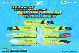 Ini Daftar Pemenang Gebyar Undian PLN Mobile, Cek di Sini, Mungkin Ada Nama Anda - JPNN.com Lampung