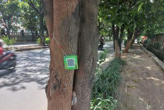 1.500 Pohon di Depok Diberi Barcode, Ini Fungsi dan Tujuannya - JPNN.com Jabar