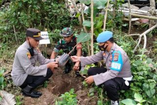 Cegah Bencana, Warga Tanam 1 Juta Pohon di Lombok - JPNN.com NTB