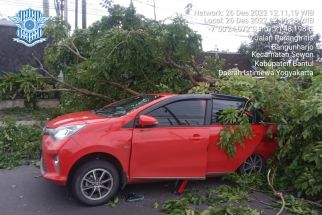 Mobil Wisatawan Asal Kebumen Tertimpa Pohon di Jogja, 2 Penumpang Terluka - JPNN.com Jogja