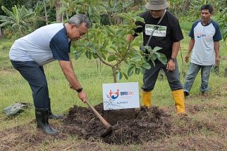 Bantu Pemulihan Hutan Desa Tambakrejo Malang, BRI Life Tanam 550 Pohon Buah - JPNN.com Jatim