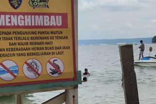 Masyarakat Bandar Lampung yang Hendak Berlibur ke Pantai, 3 Perairan Ini Ada Buaya, Waspada  - JPNN.com Lampung
