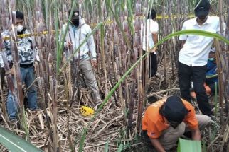 Warga Kepanjen Malang Geger, Temukan Kerangka Manusia di Ladang Tebu, Lihat - JPNN.com Jatim