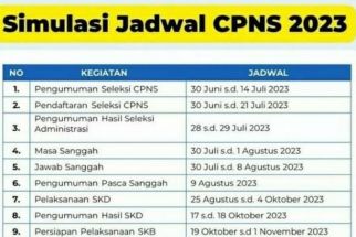 Seleksi CPNS 2023 Dibuka Juni? Begini Penjelasan BKN  - JPNN.com Lampung