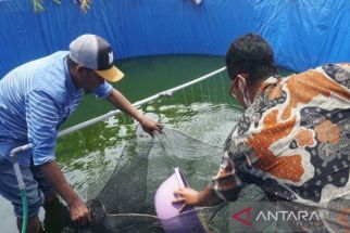 Mengenal Biofok & Conical Tank, Media Jitu Pengembangan Budidaya Bandeng - JPNN.com Jateng