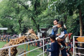 Siap-Siap, KBS Bakal Buka Surabaya Night Zoo, Lihat Satwa Malam Hari - JPNN.com Jatim