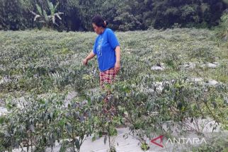 Erupsi Gunung Merapi, Tiga Desa di Boyolali Terdampak Hujan Abu - JPNN.com Jateng