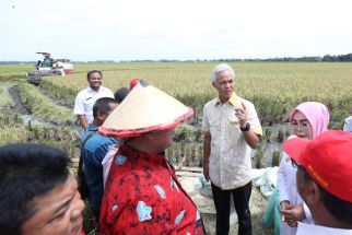 Momen Petani Grobogan Panen Raya Bareng Ganjar - JPNN.com Jateng