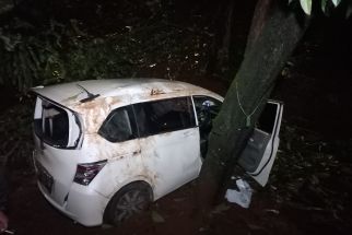 Mobil Honda Freed Tabrak Angkot Hingga Terguling di Flyover UI - JPNN.com Jabar