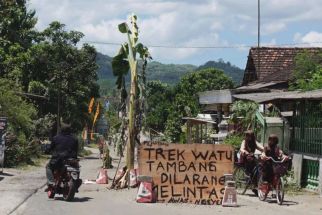 Geram Jalanan Rusak, Warga Tulungagung Tanam Pohon Pisang - JPNN.com Jatim