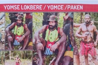 Pelaku Pembakaran Pesawat Susi Air Ditangkap, Kombes Era Beber Catatan Kejahatannya - JPNN.com Papua