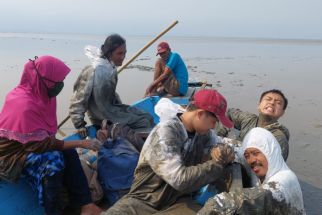 Perahu Tim Unair Terjebak Lumpur Setelah Autopsi Bangkai Paus Terdampar di Kejawan Putih Tambak - JPNN.com Jatim