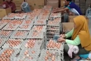Harga Telur Ayam di Blitar Naik, Penyebabnya Diduga Akibat Hajatan Warga - JPNN.com Jatim