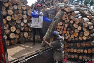 Jam Kerja Karyawan Pabrik Kayu Lapis di Temanggung Dikurangi, Kenapa? - JPNN.com Jateng