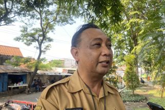 DKPP Surabaya Cari Monyet yang Gigit Dua Bocah, Hasilnya Nihil - JPNN.com Jatim