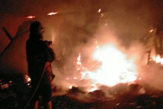Kandang Ternak di Keputih Surabaya Terbakar, 50 Ekor Bebek Gosong - JPNN.com Jatim