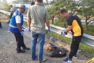 Polisi Ungkap Identitas Mayat Pria Tergeletak di Tol Sumo, Ternyata - JPNN.com Jatim