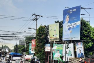 SE Penertiban Atribut Partai Tuai Kritikan, Ikravany Hilman: Copot Dulu Baliho Elly Farida! - JPNN.com Jabar