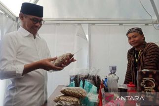 Bupati: Harga Kopi Temanggung Tahun Ini Terbaik Sepanjang Sejarah - JPNN.com Jateng