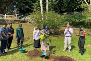 Peringati Mandela Day Kebun Raya Bogor Tanam Pohon Langka Asli Indonesia - JPNN.com Jabar