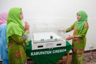 Muslimat NU Masifkan Penurunan AKB dengan Beri Bantuan Inkubator & Fototerapi Gratis - JPNN.com Jatim