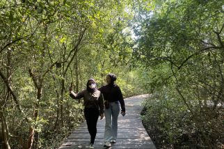 Segera Diresmikan, Kebun Raya Mangrove Gunung Anyar Jadi Satu-satunya di Indonesia    - JPNN.com Jatim