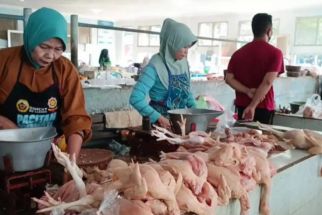Harga Ayam di Pacitan Menyentuh Harga Rp40 ribu, Pedagang & Pembeli Mengeluh - JPNN.com Jatim