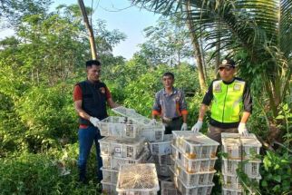 Burung Hasil Sitaan Dilepasliarkan di Gunung Rajabasa Lampung Selatan - JPNN.com Lampung