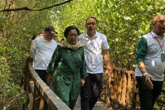 Megawati Resmikan Kebun Raya Mangrove  Surabaya - JPNN.com Jatim