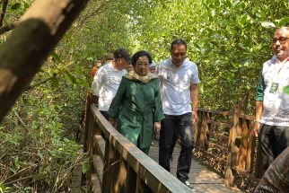 YKRI Gelontorkan Rp 2 M untuk Pengembangan Kebun Raya Mangrove Gunung Anyar - JPNN.com Jatim