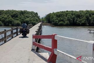 Kabar Gembira Warga Bandar Lampung, Pembangunan Jembatan Menuju Sentra Ikan Asin Dilanjutkan - JPNN.com Lampung