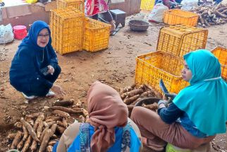 Mantan Staf Ahli Mendag Turun Gunung, Dorong Desa Ekspor Segera Terwujud - JPNN.com Jateng