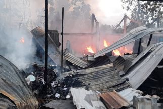 Kebakaran Kandang di Bantul, 8 Ribu Ekor Ayam Terpanggang - JPNN.com Jogja