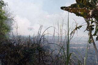 Membakar Sampah Jadi Pemicu Kebakaran, Paling Banyak di Bantul  - JPNN.com Jogja