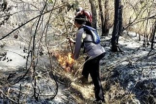 Polisi Beber Penyebab Kebakaran di Gunung Arjuno, Ternyata - JPNN.com Jatim