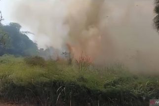 Lahan di BSD Tangerang Terbakar, Damkar Kerahkan Mobil Pemadam - JPNN.com Banten