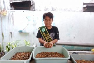 Keren! Siswa SD Jemur Wonosari Kurangi Sampah Organik dengan Budi Daya Maggot - JPNN.com Jatim