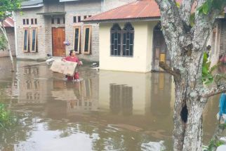 Banjir Rendam Puluhan Rumah dan Sawah di Batu Bara, Warga Kritisi Kepemimpinan Bupati Zahir - JPNN.com Sumut