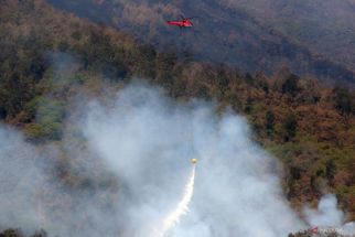 Satgas Darat Atau Water Bombing, Mana yang Lebih Efektif Atasi Kebakaran Hutan? - JPNN.com Jatim