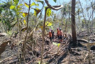 Lansia di Kulon Progo Tak Bisa Menyelamatkan Diri di Tengah Kebakaran Lahan - JPNN.com Jogja