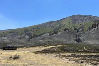 Kebakaran di Gunung Bromo Tercatat Kerugian Capai Rp5,4 Miliar - JPNN.com Jatim