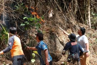 Kebakaran Hutan 10 Hektare, Jalur Pendakian Gunung Budheg Tulungagung Ditutup - JPNN.com Jatim