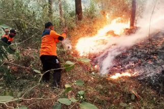BNPB Terjunkan Helikopter Water Bombing Padamkan Kebakaran Gunung Lawu - JPNN.com Jatim