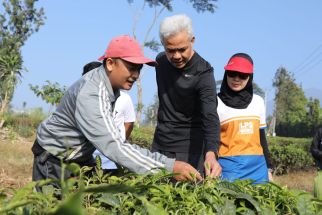 Ganjar dan Siti Atikoh Jalan Pagi Sambil Berbincang dengan Petani Kebun Teh di Cianjur - JPNN.com Jabar