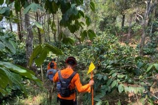 Seorang Warga Hilang di Hutan Gunung Ungaran, Tim SAR Langsung Bergerak - JPNN.com Jateng