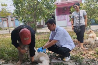 DKP3 Depok Berikan Vaksin Rabies Untuk 269 Ekor Hewan Peliharaand - JPNN.com Jabar