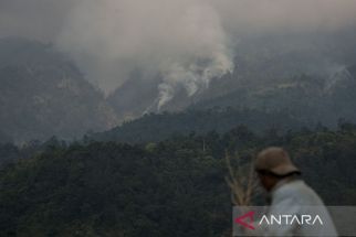 Kamis Petang, Gunung Ungaran Semarang Kebakaran, BPBD Bergerak - JPNN.com Jateng